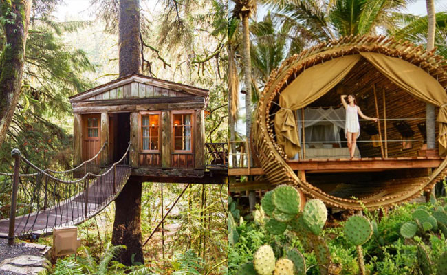 Grand Kerala Retreat
