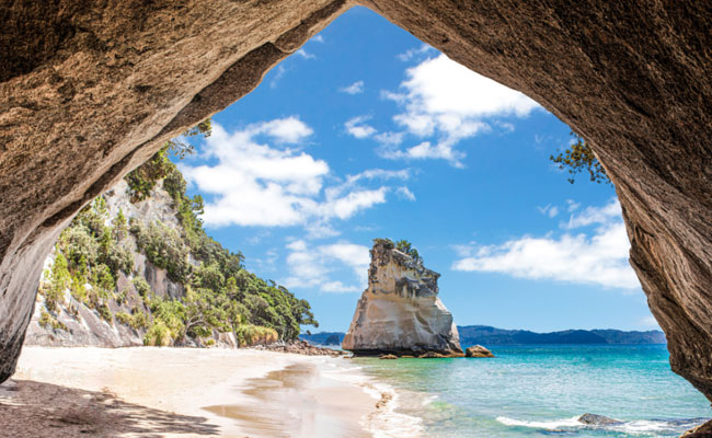 Experience New Zealand’s North Island 