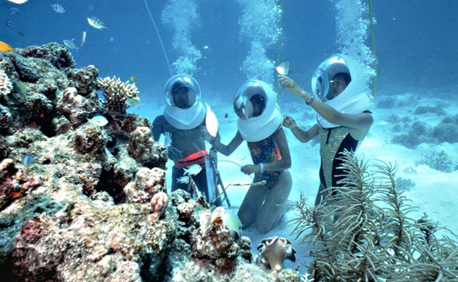Andaman Ecstasy 