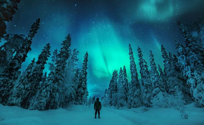 Northern Lights Adventure Tour 