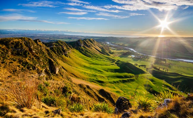 Classic New Zealand 