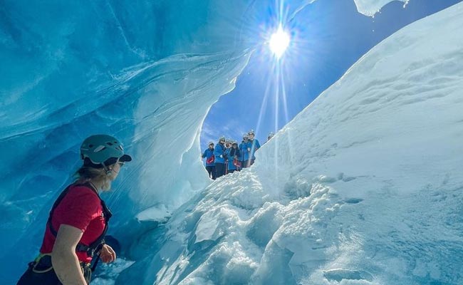 New Zealand Alpine Wonders